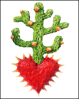 corazon cactus